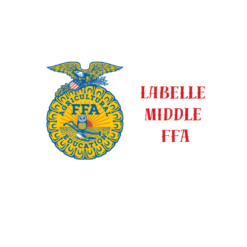 LABELLE MIDDLE SCHOOL FFA - Fundraiser Strawberries