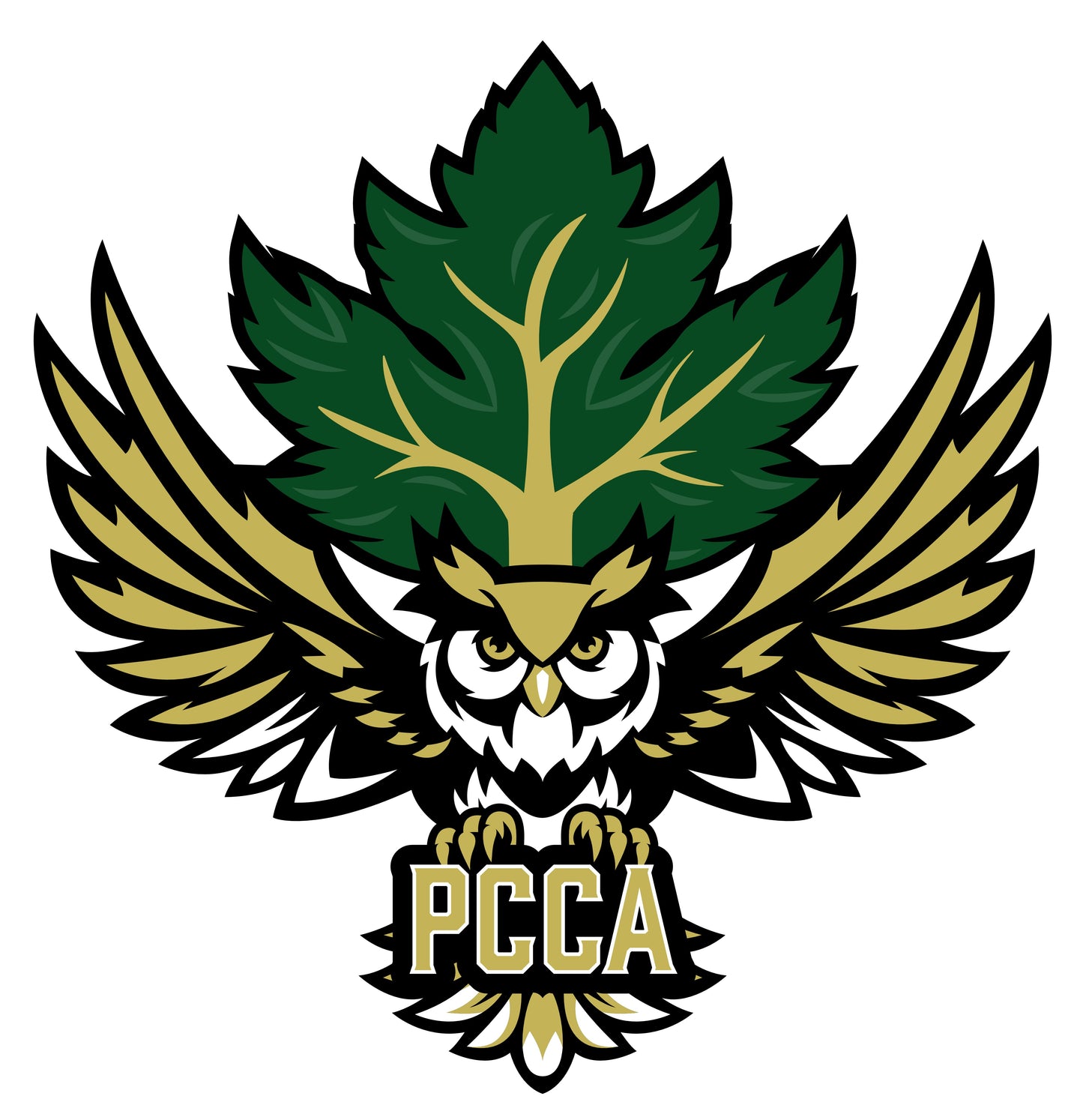 PLANT CITY CHRISTIAN ACADEMY PTA - Fundraiser Strawberries